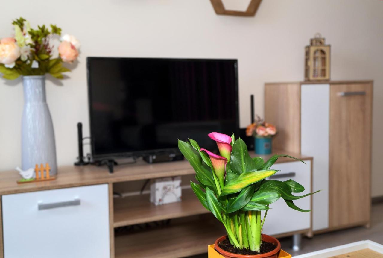 Apartment Colibri Veliko Tarnovo Exteriér fotografie